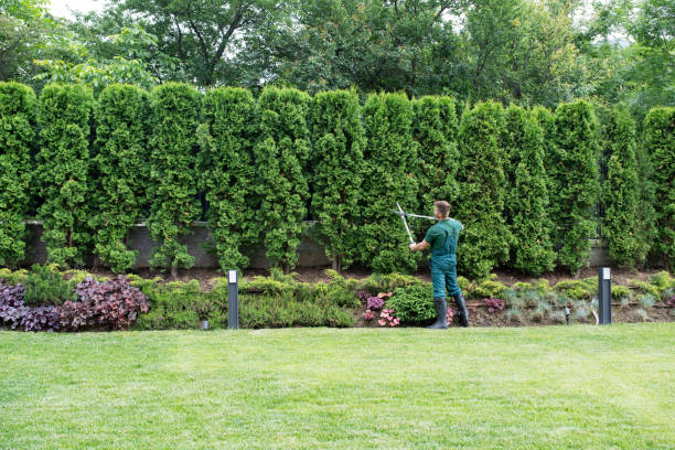 Best Landscape Design and Installation  in Reston, VA