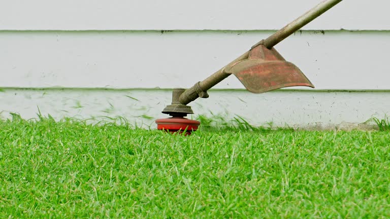 Best Lawn Irrigation Installation and Maintenance  in Reston, VA